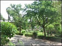 Sant’Apollonia